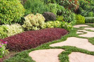 landscaping keller tx 3